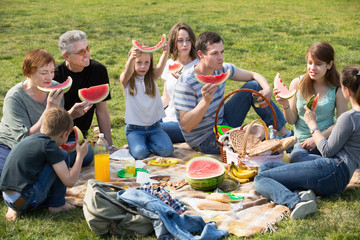 Friendly and positive family with children at picnic