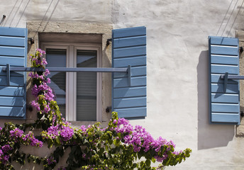 Fototapeta na wymiar Close up view of windows with blue, wooden shutters and pink color flowers in Koper / Slovenia. It is a port city in Slovenia, on the country's Adriatic coastline.