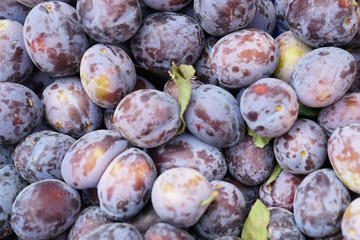 plums in the market