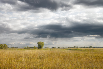 Landscape with green and yellow grass with beautiful clouds in the background on a bright sunny day