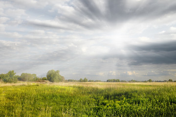 Landscape with green and yellow grass with beautiful clouds in the background on a bright sunny day