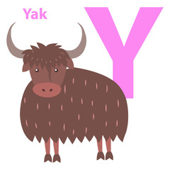 Alphabet Illustration for Letter Y with Furry Yak