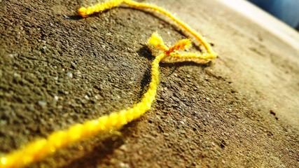 a yellow thread is spreading colorfulness on the road