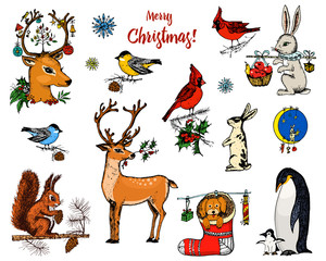 Christmas horned deer, squirrel and animals. New Year penguin and bird cardinal or tit in the forest. winter holidays. engraved hand drawn in old sketch and vintage style for postcards.