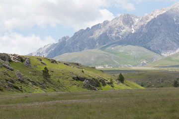 Fototapeta na wymiar Cima Delle Veticole, seen from the southwest, Sheep herd with shepherd and dogs