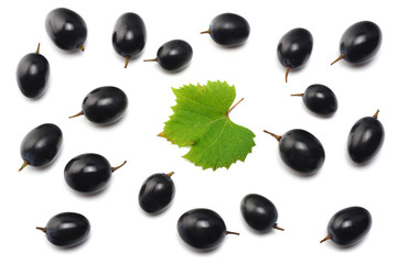 blue grapes berries with leaves isolated on white. top view