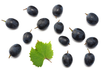 blue grapes berries with leaves isolated on white. top view