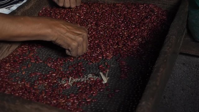 Sorting dried beans in Granada food market