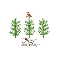 Robin, little bird with Santa Claus hat on a tree. Christmas greeting card, vector illustration