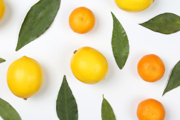 tangerines and lemons with leaves on a white background.