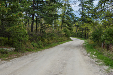 Landscape of The area around Long Pine Reservoir in Michaux State Forest in Central Pennsylvania