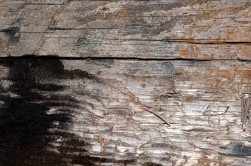 Front view of old grey wood background or texture. Copy space. Place for text. graphical resource