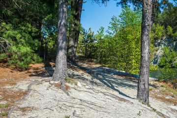 Landscape of The area around Long Pine Reservoir in Michaux State Forest in Central Pennsylvania