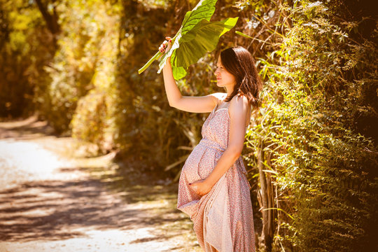 pregnant girl in nature