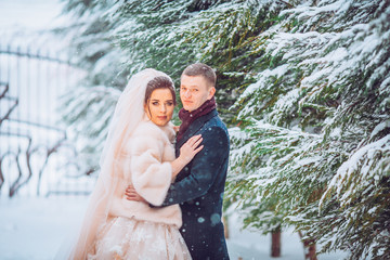 Beautiful wedding couple on their winter wedding. Snow falls on newlyweds.