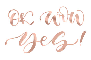 Beautiful fashion greeting card calligraphy metallic rose gold text. Handwritten T-shirt print or paper design. Modern brush lettering white background isolated vector phrase. Wow Ok. Yes