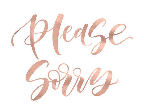 Please. Sorry. Beautiful fashion greeting card calligraphy metallic rose gold text. Handwritten invitation T-shirt print or paper design. Modern brush lettering white background isolated vector phrase