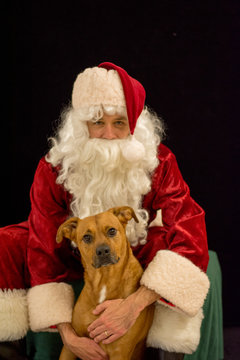Adorable portrait with Santa and sweet dog