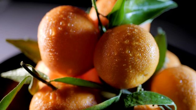 Fresh juicy mandarins with droplets and leaves rotate in front of the camera. Tangerine symbol og Christmas and New Year. Slow motion