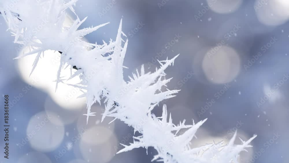Poster abstract blurred frosty tree branch covered with sharp frost at snowy day. selective focus used.