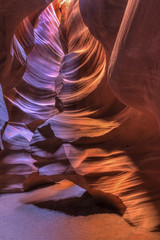 Antelope Chimney Tree