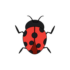 ladybug arthropod insect single icon vector illustration