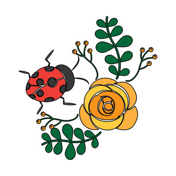 flower and ladybug berries leaves branch decoration vector illustration