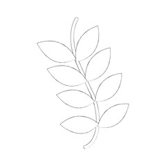 branch with green leaves nature vector illustration