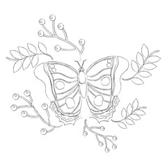 monarch butterfly animal insect with branch berries natural image vector illustration