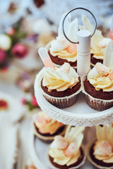 Diversity of pastry decorated with fruit