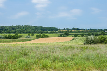 Fototapeta na wymiar Rural Country York County Pennsylvania Farmland, on a Summer Day