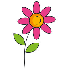 beautiful flower isolated icon vector illustration design
