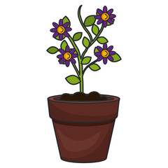 flower in pot icon vector illustration design