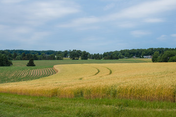 Rural Country York County Pennsylvania Farmland, on a Summer Day