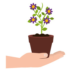 hand with flower in pot icon vector illustration design