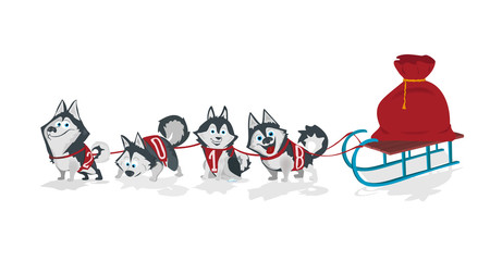 Dogs with numbers 2018 sled team and chrismas bag .
