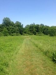 Open Green Trail