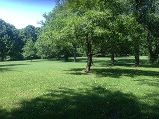 Greenery  