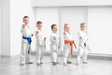 Little children practicing karate in dojo