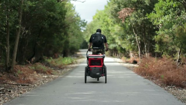 Man riding bicycle with his child in a bicycle trailer in the forest, rear view