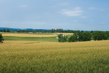 Rural Country York County Pennsylvania Farmland, on a Summer Day