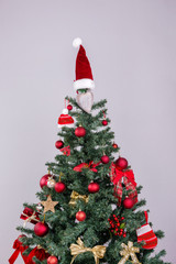 christmas tree isolated on a white background