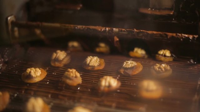 Layout and covering of dried fruit with chocolate, confectionery manufacturing