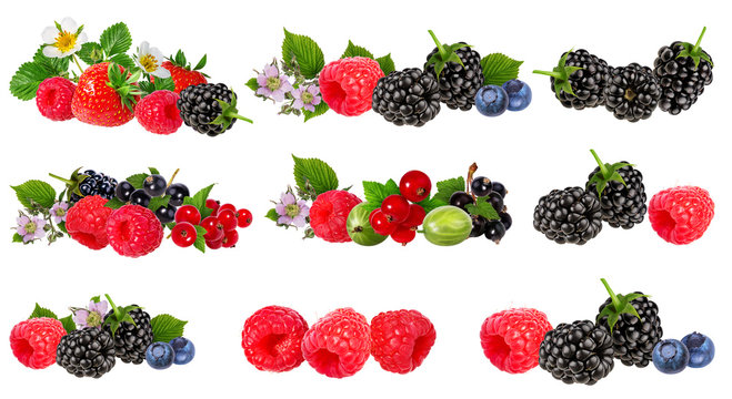     Berries collection isolated on white background