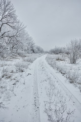 Wintry landscape with a dirt road