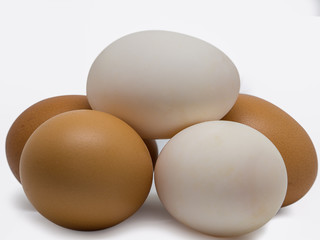 (Closeup) Duck eggs and Chicken eggs.