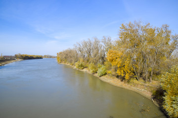 Autumn landscape. the river and the bridge type. Trees with yell