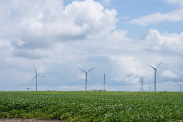 Wind Mills in a Rural area of Indiana off of route sixity five