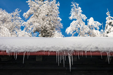 View of icicles hanging from a snowy rooftop of a wooden mountain cottage, hut or house with trees...