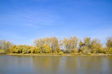 Autumn landscape. River bank with autumn trees. Poplars on the b